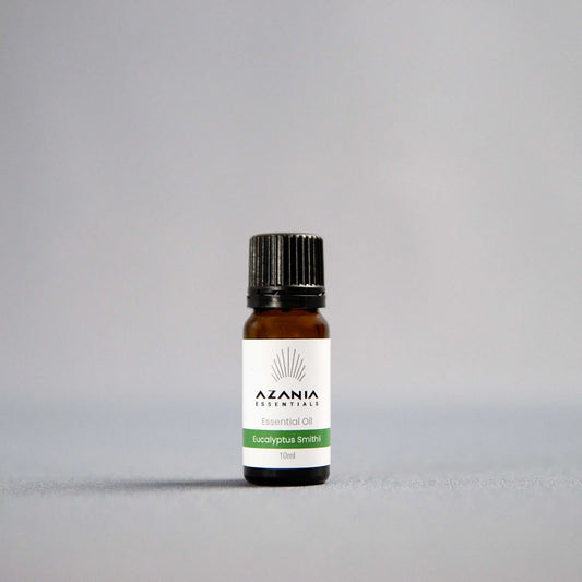 Eucalyptus Smithii Essential Oil
